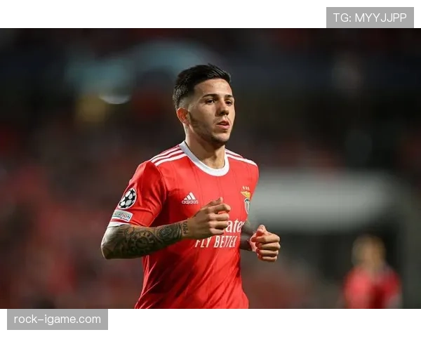 本菲卡中场新核掌控全局 战术升级引领连胜势头