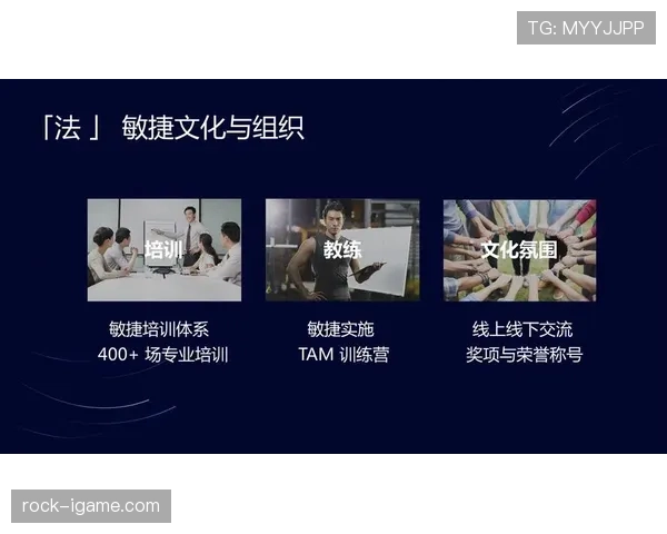 赖斯技术细节首度揭秘:驱动未来科技创新的新引擎 赖斯技术细节首度揭秘:驱动未来科技创新的新引擎
